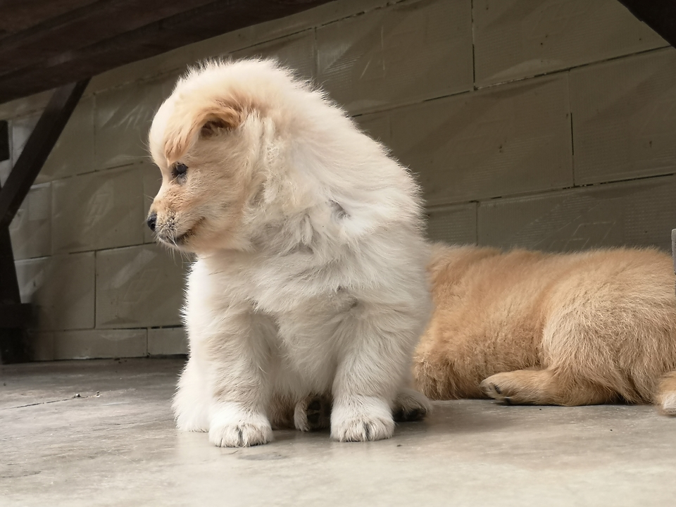 微信图片_20220603190124