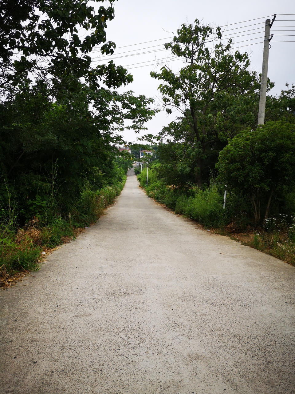 微信图片_20220603190144