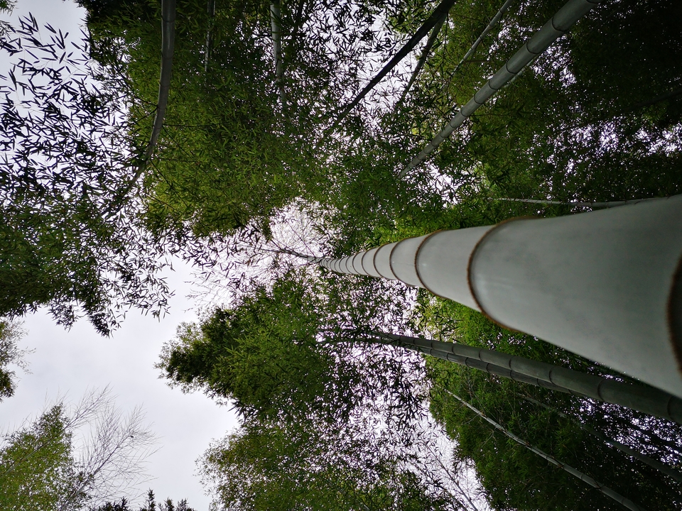 微信图片_20220603190203