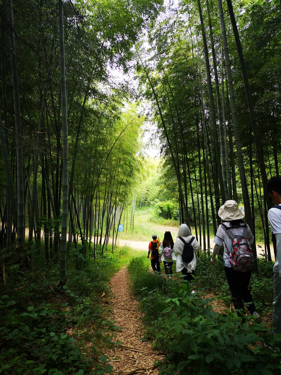 微信图片_20220603190215