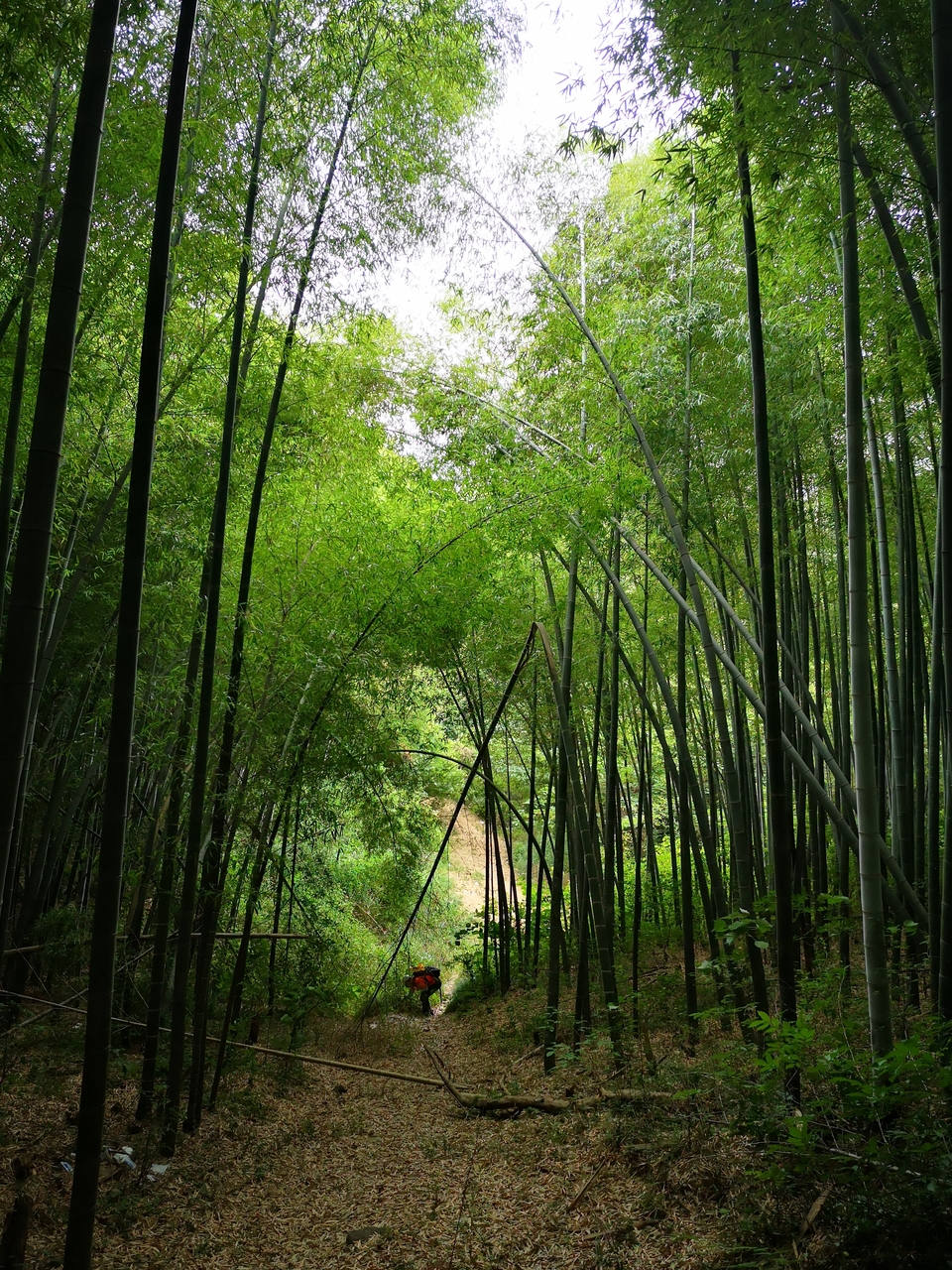 微信图片_20220603190222