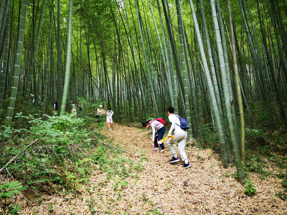 微信图片_20220603190226