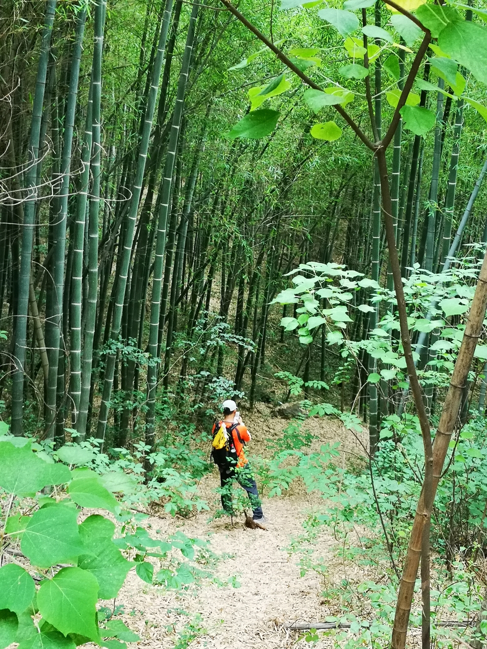 微信图片_20220603190232