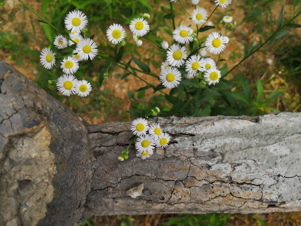 微信图片_20220603190242