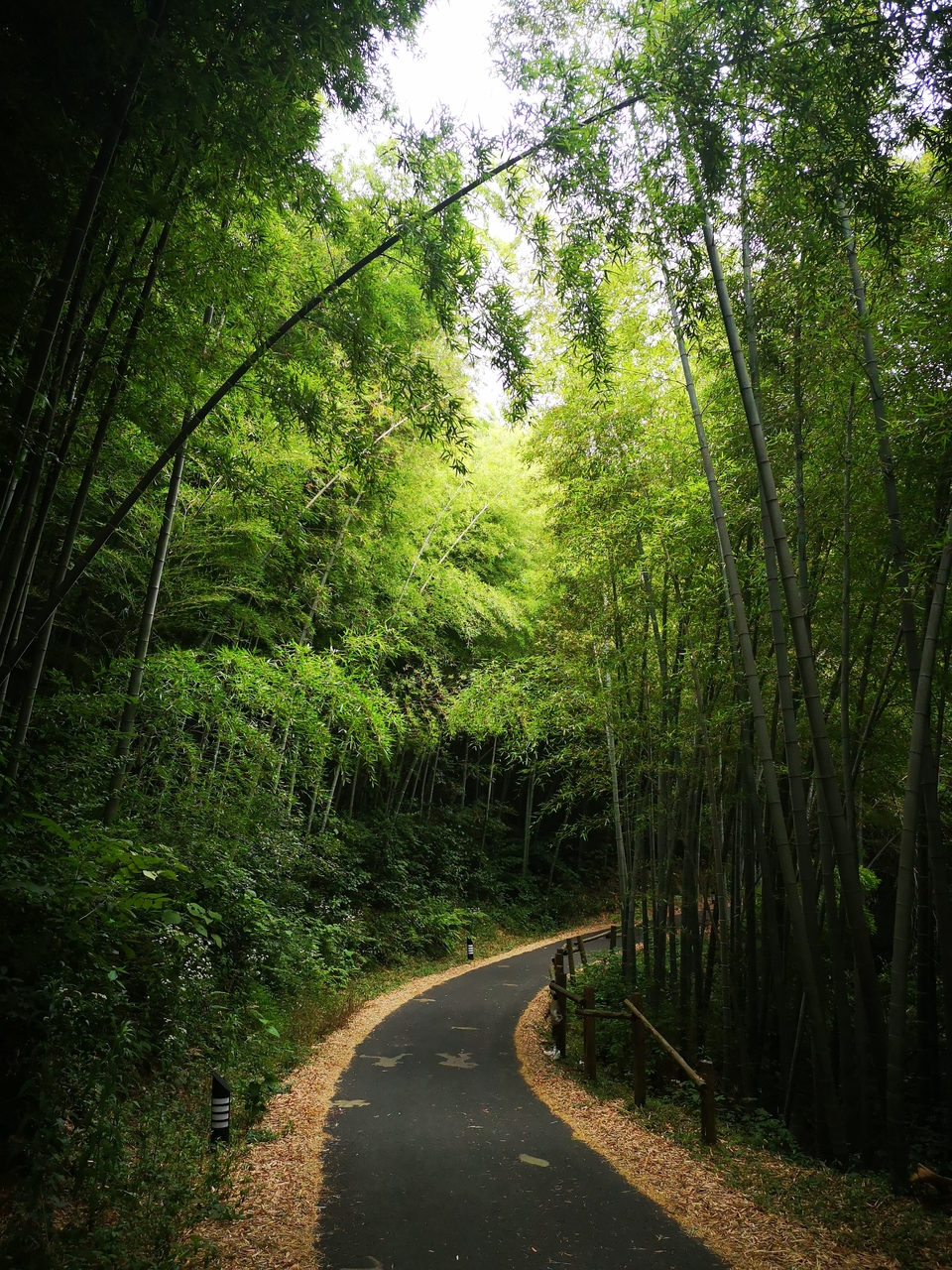 微信图片_20220603190249