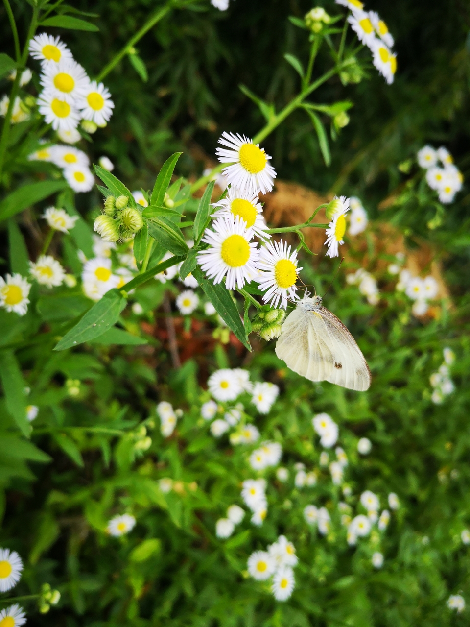 微信图片_20220603190253