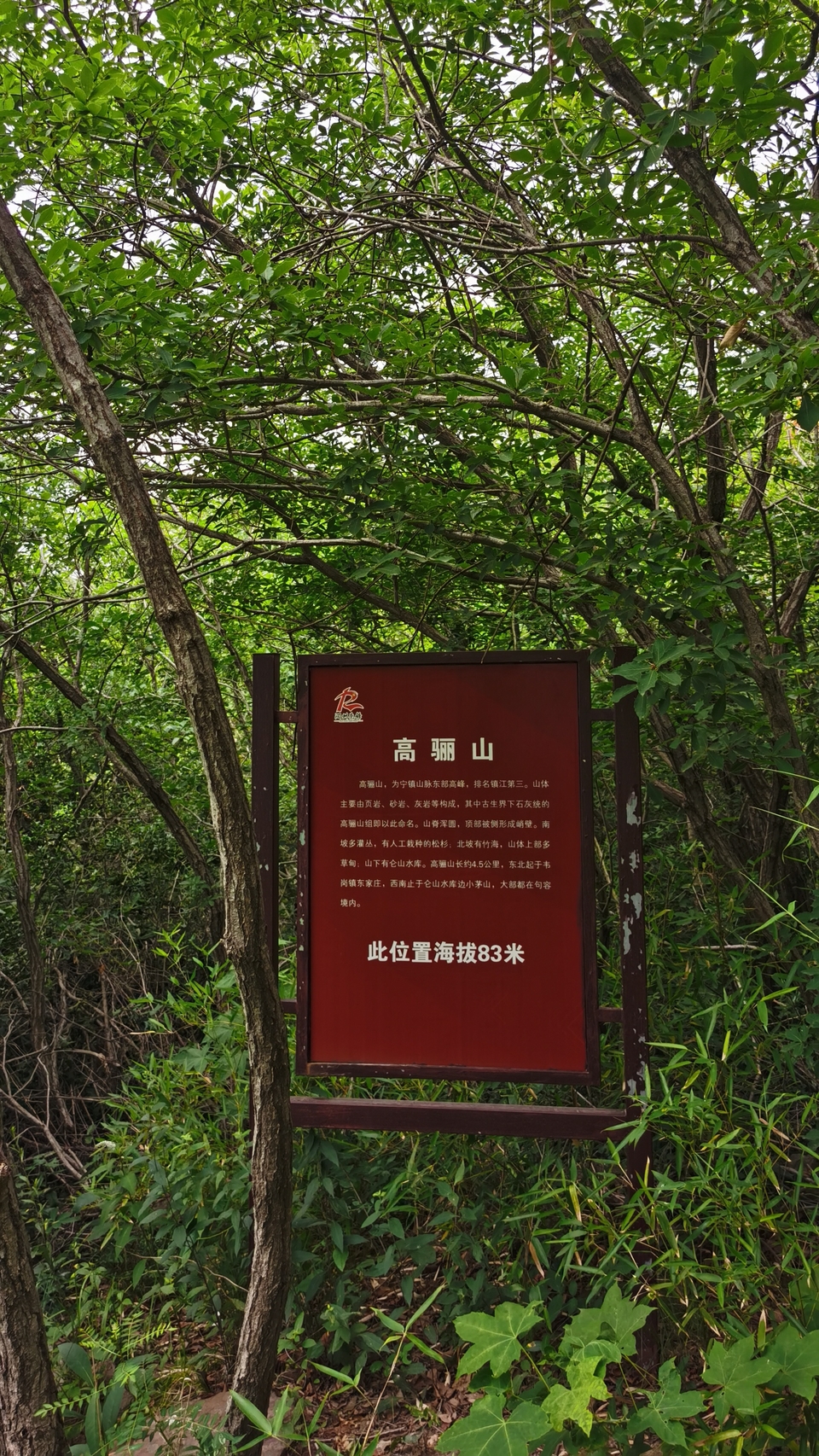 微信图片_20220603193314