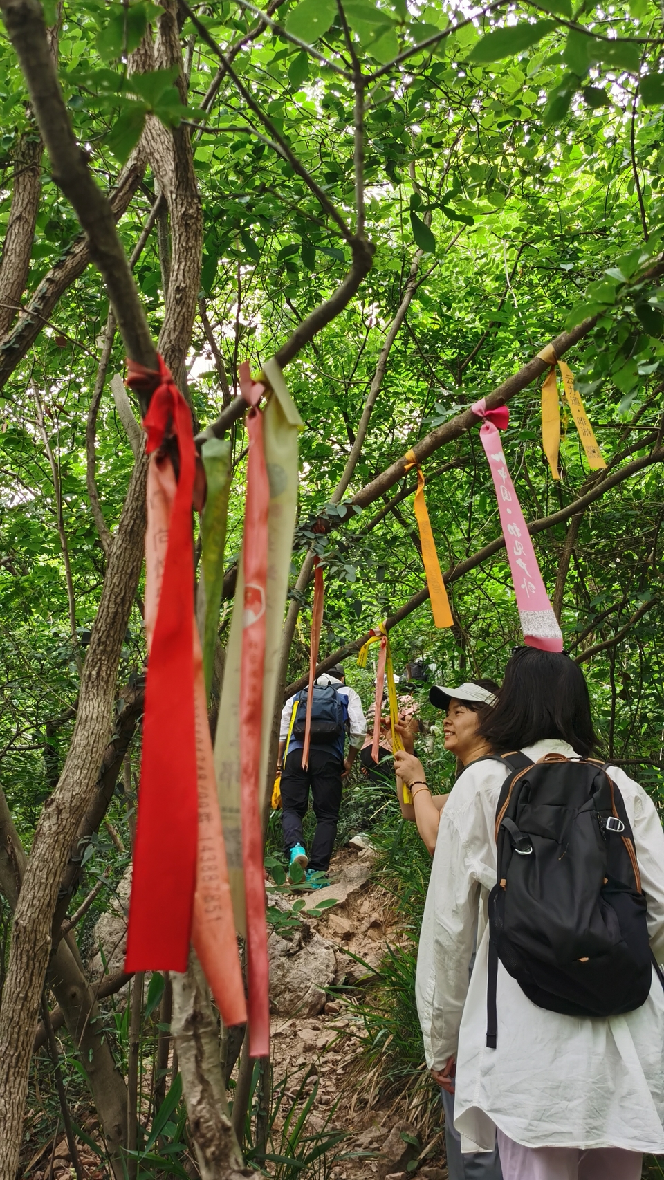 微信图片_20220603193324