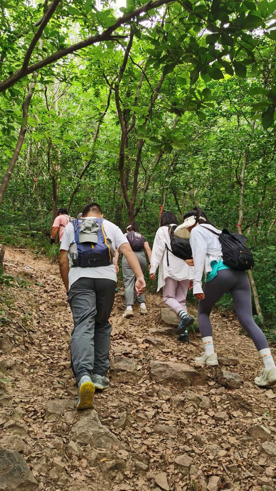 微信图片_20220603193331