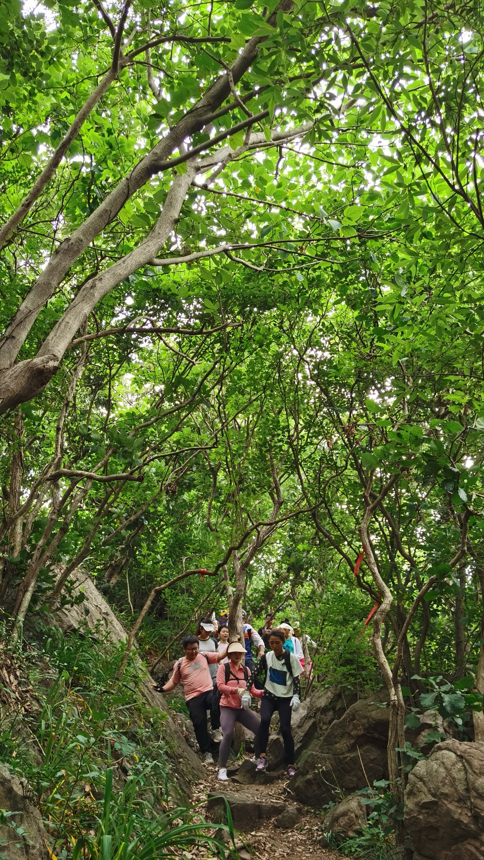 微信图片_20220603193511