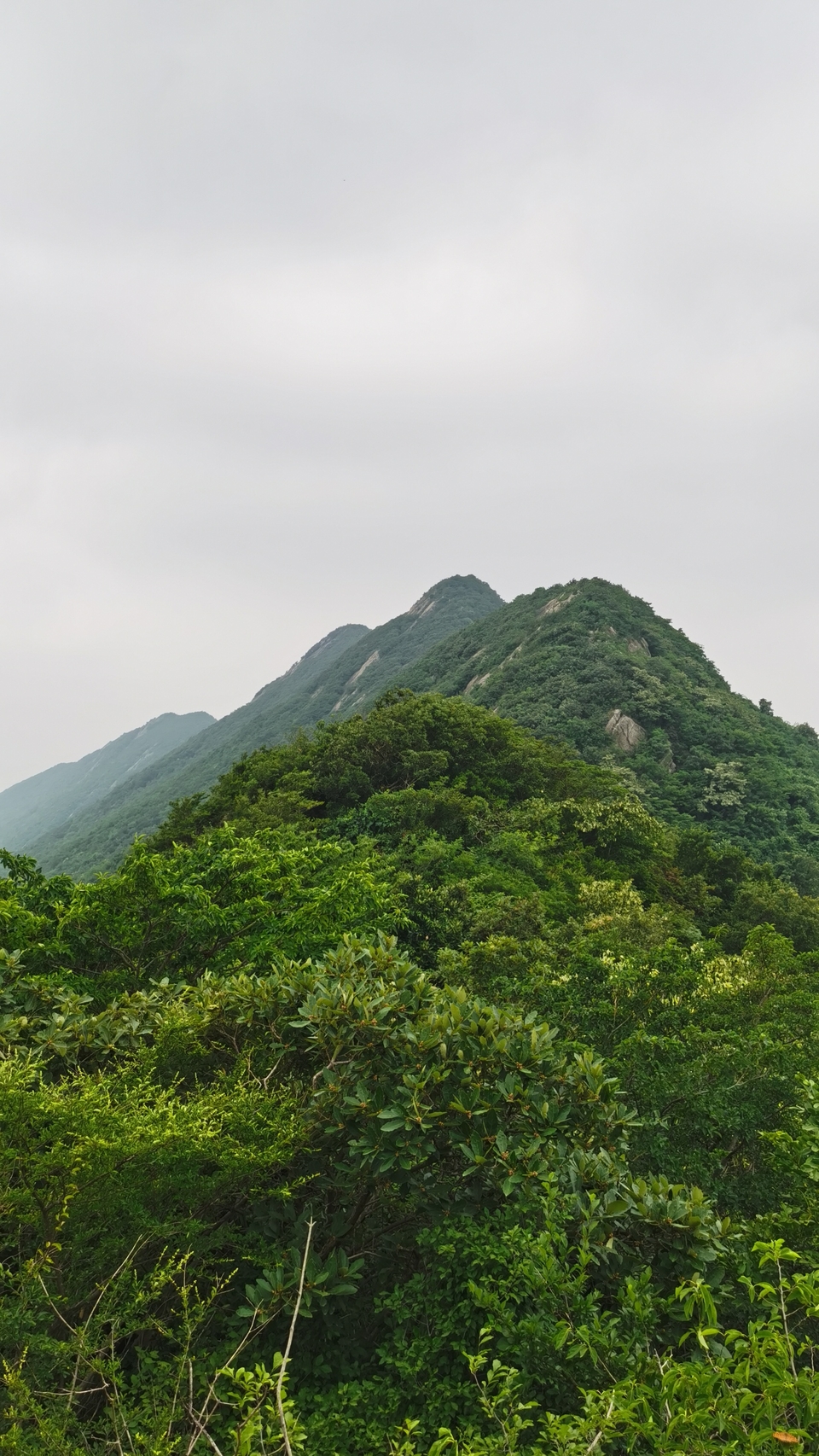 微信图片_20220603193519