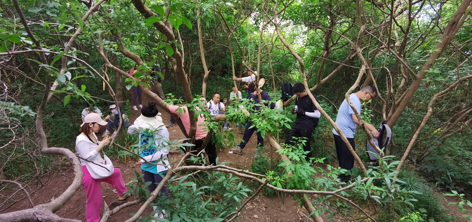 微信图片_20220603193539