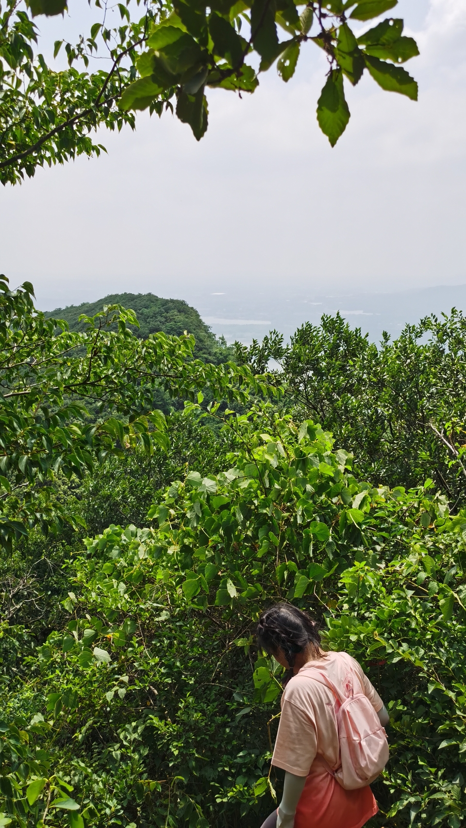 微信图片_20220603193711