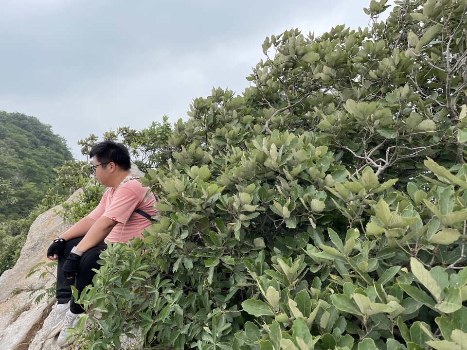 微信图片_20220603193824