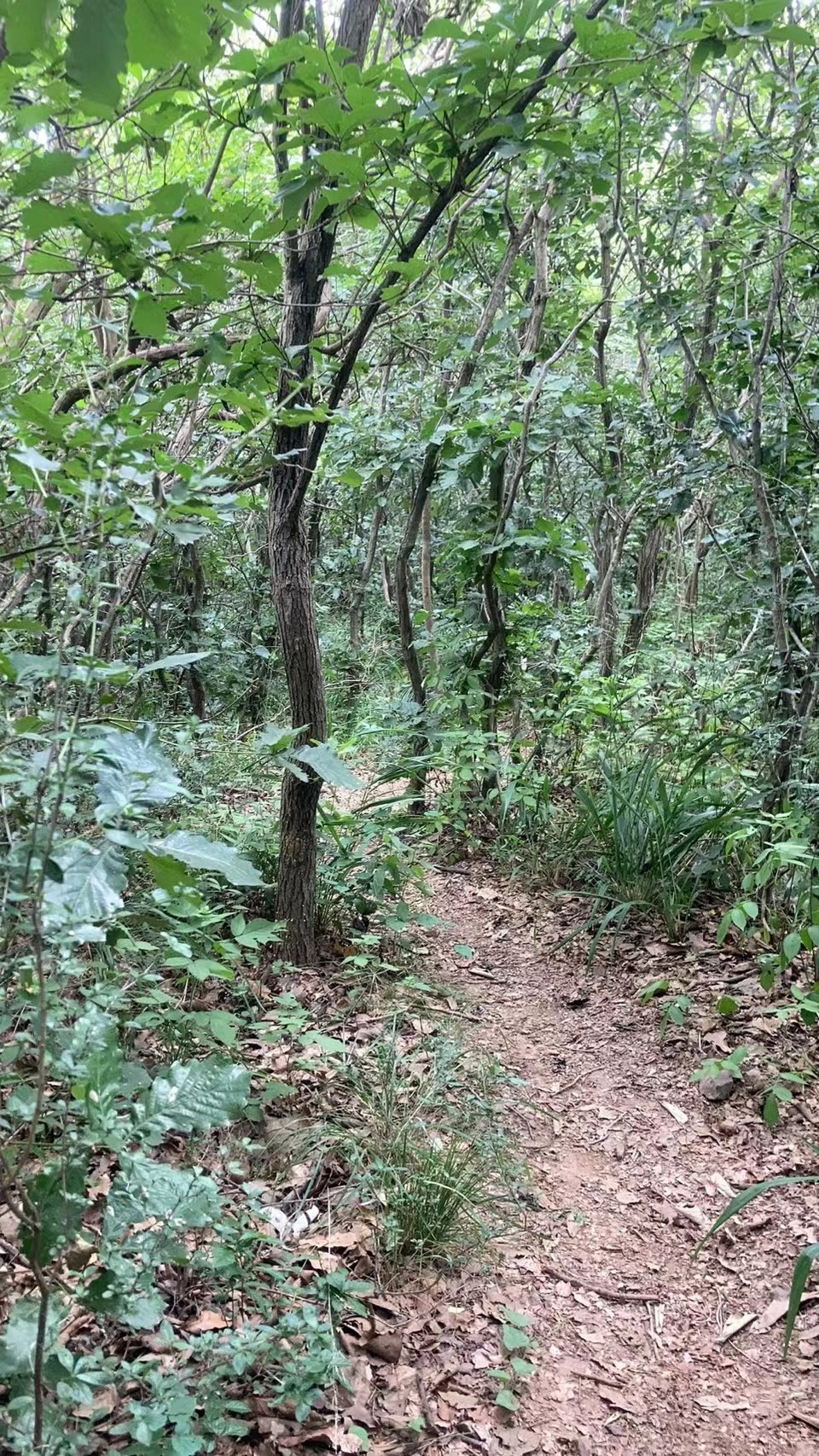 微信图片_20220603193910