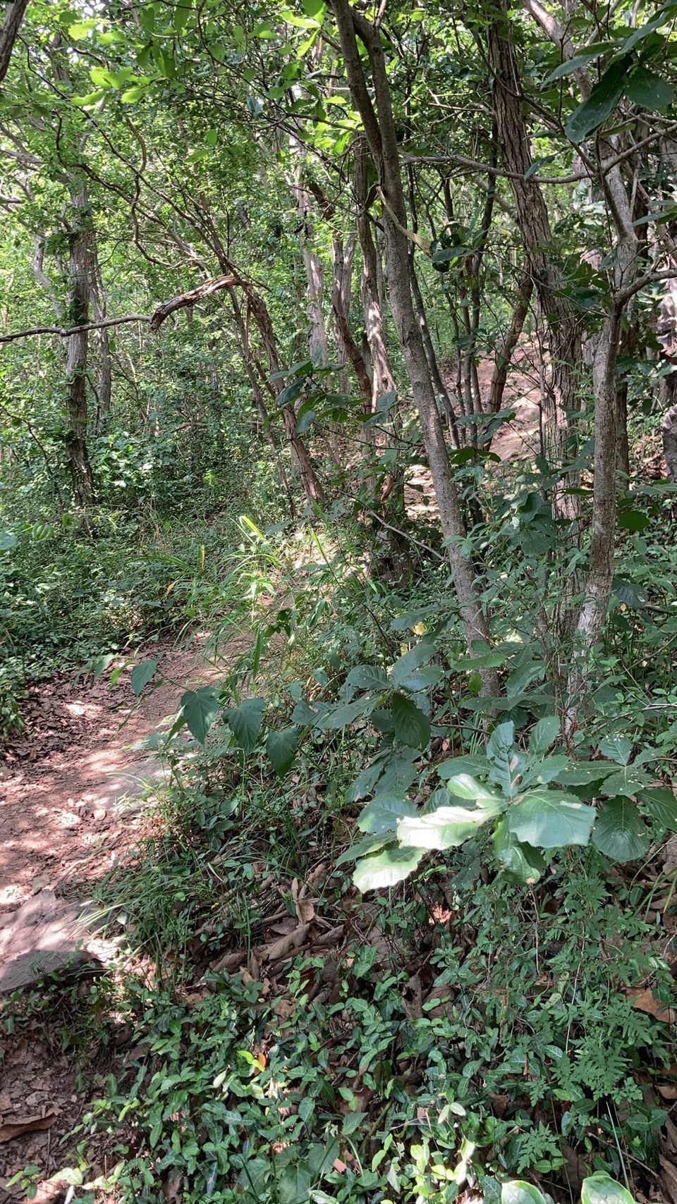 微信图片_20220603193916