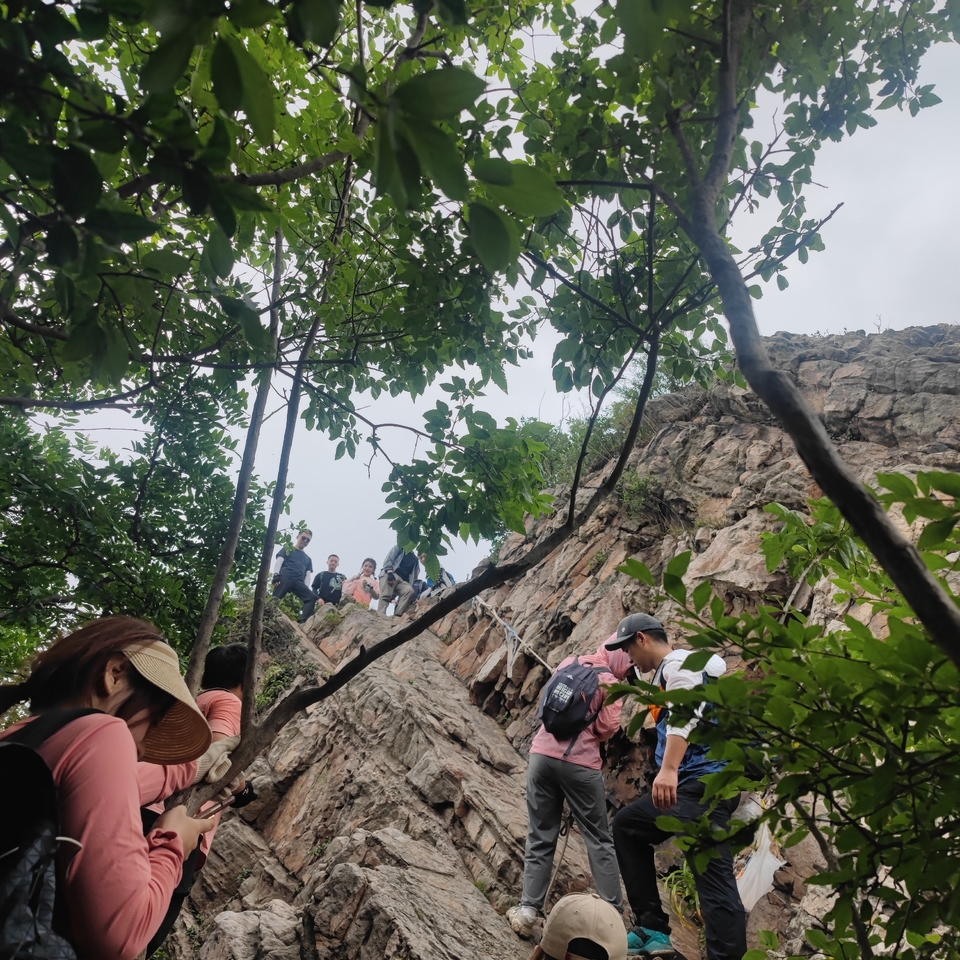 微信图片_20220603193941