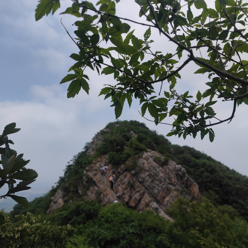 微信图片_20220603193944