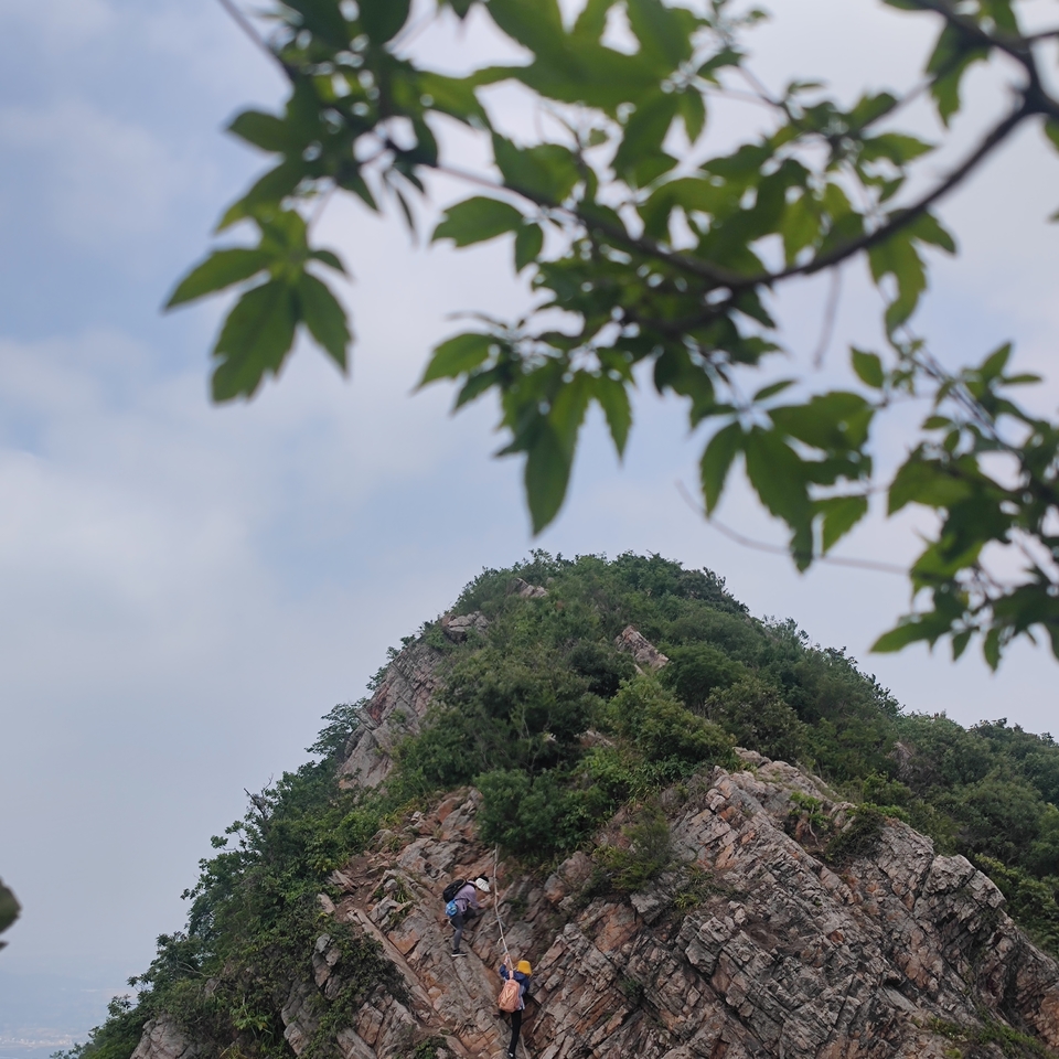 微信图片_20220603193947