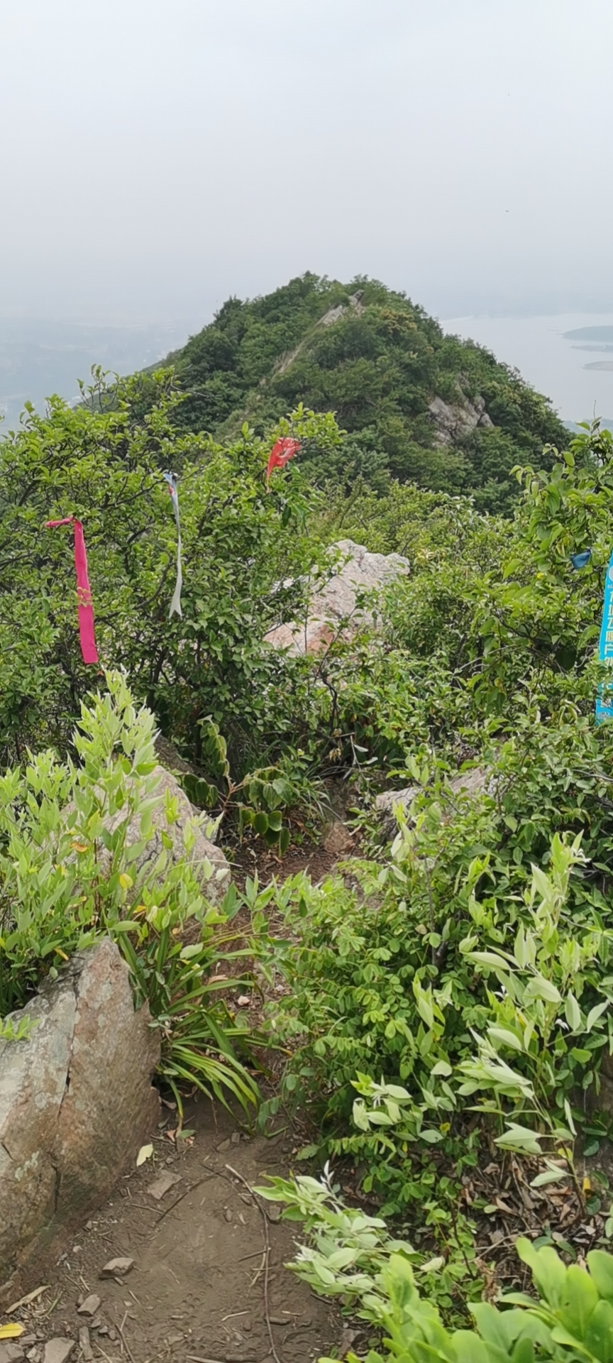 微信图片_20220603194048