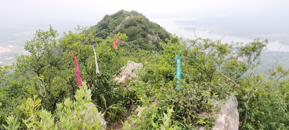 微信图片_20220603194052