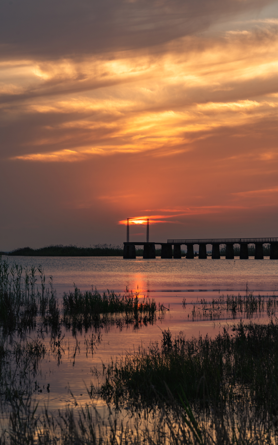 微信图片_20220620205042