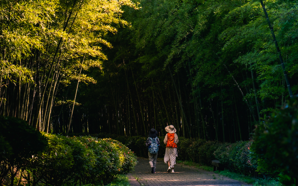 微信图片_20220620205056