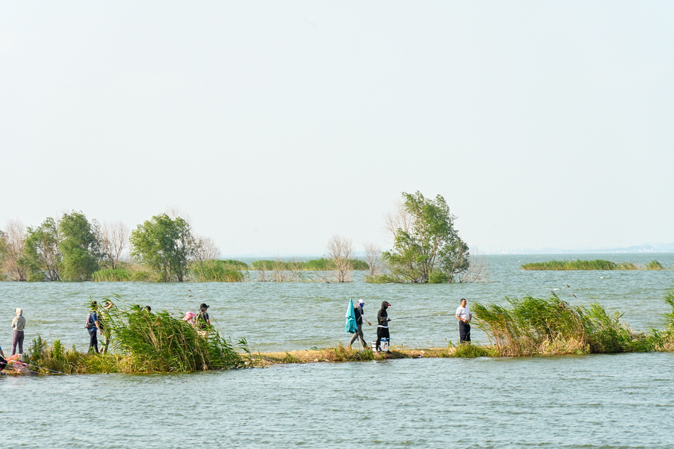 微信图片_20220620205207