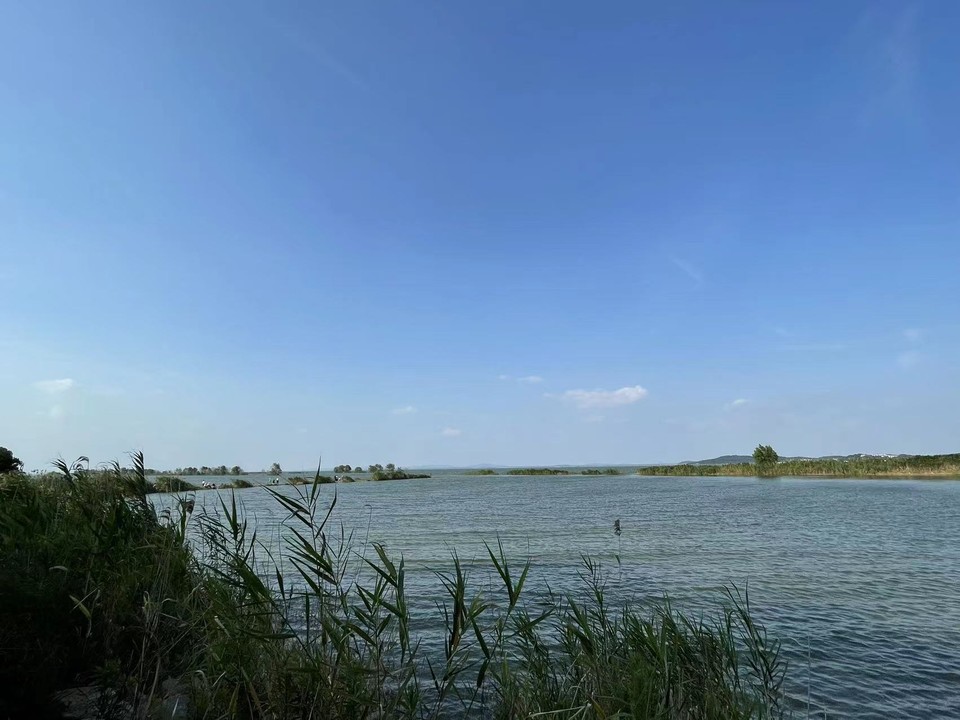 微信图片_20220620205357