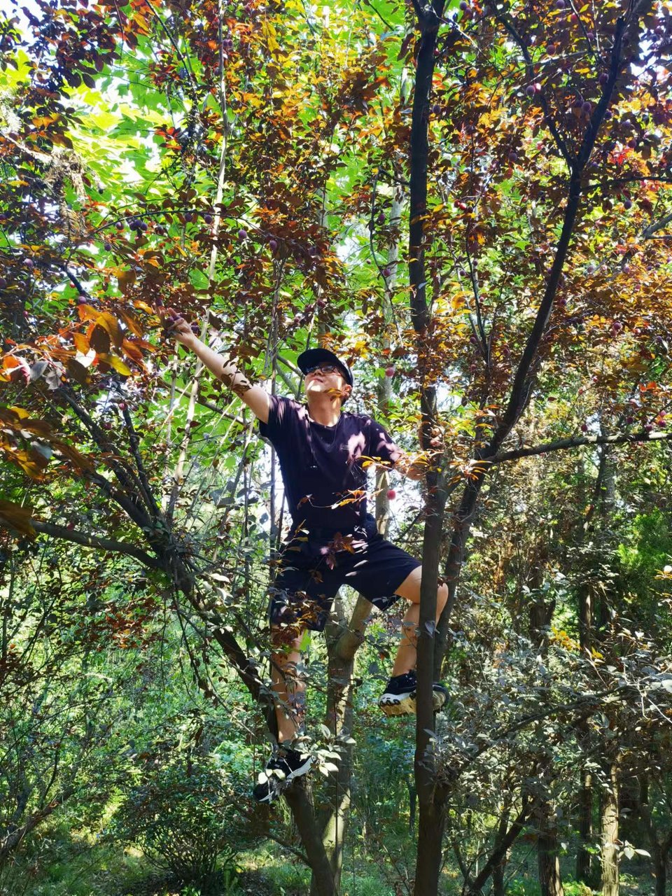 微信图片_20220620205408