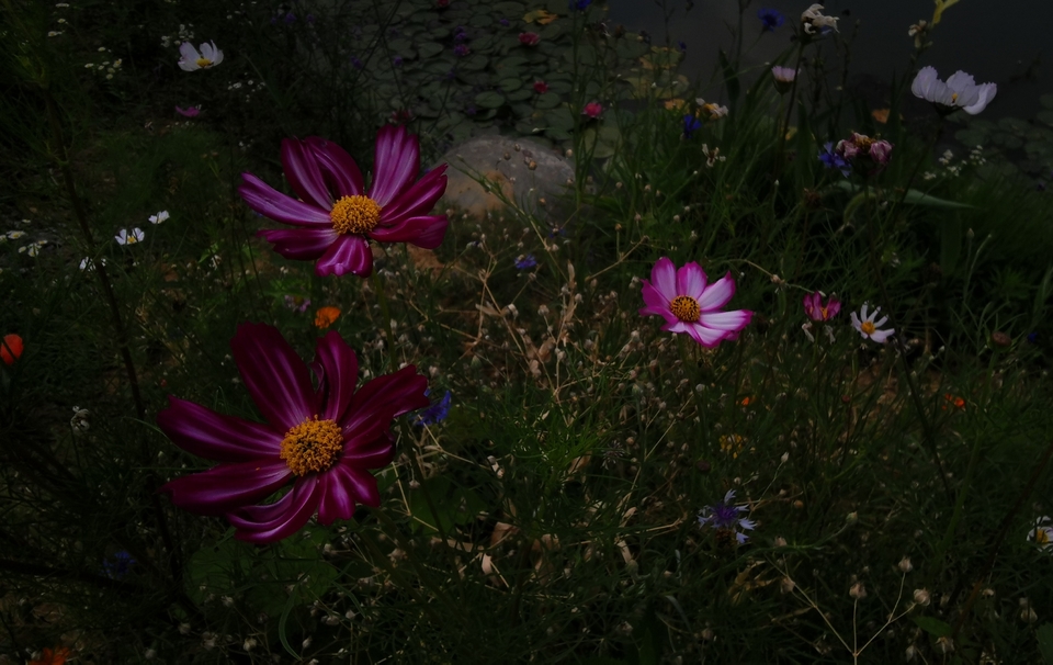 微信图片_20220620205412