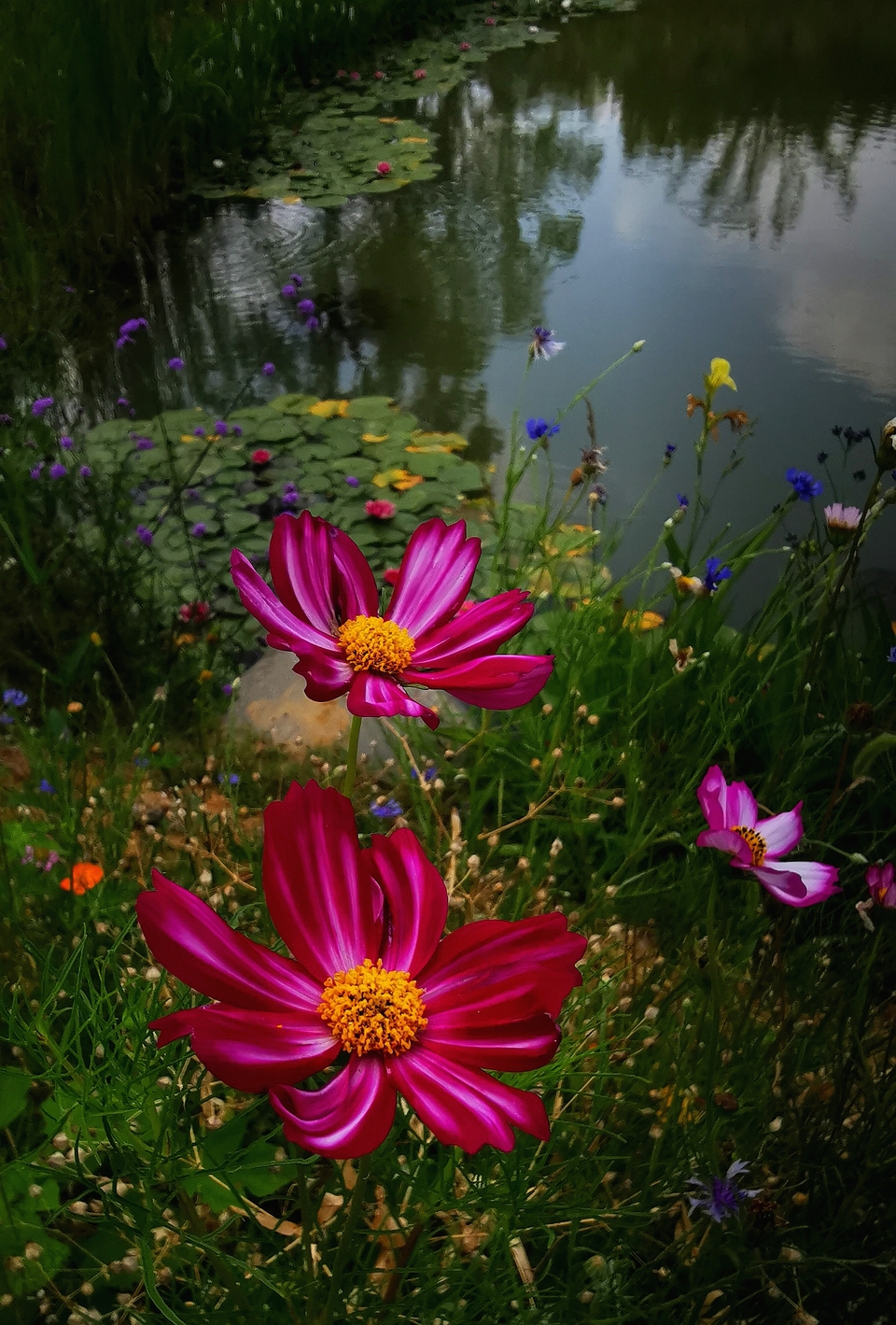 微信图片_20220620205414