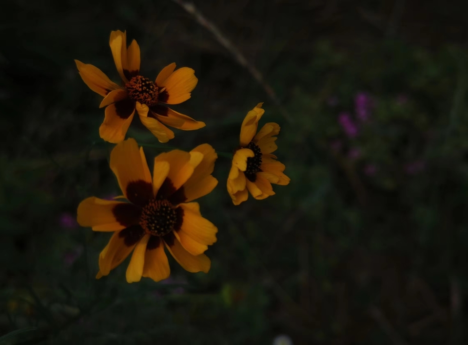 微信图片_20220620205418