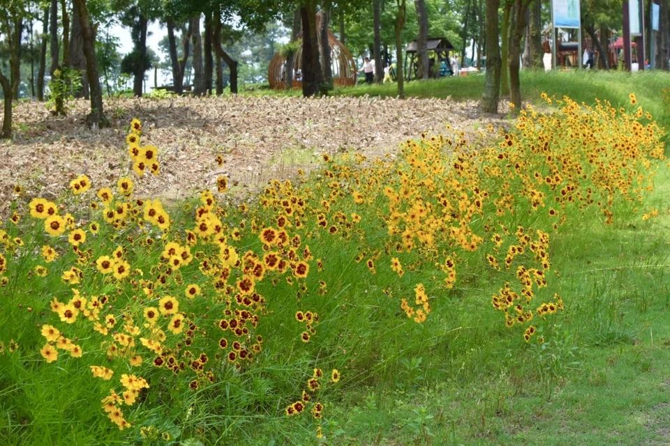 微信图片_20220620205431