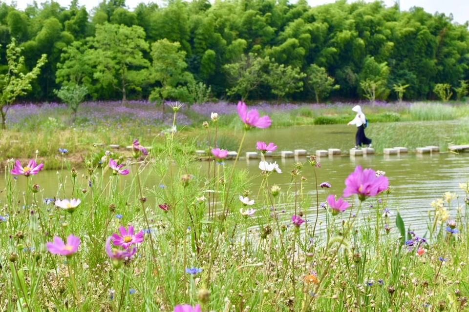 微信图片_20220620205434