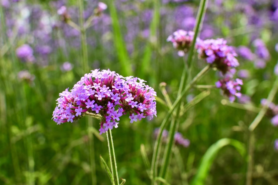 微信图片_20220620205440