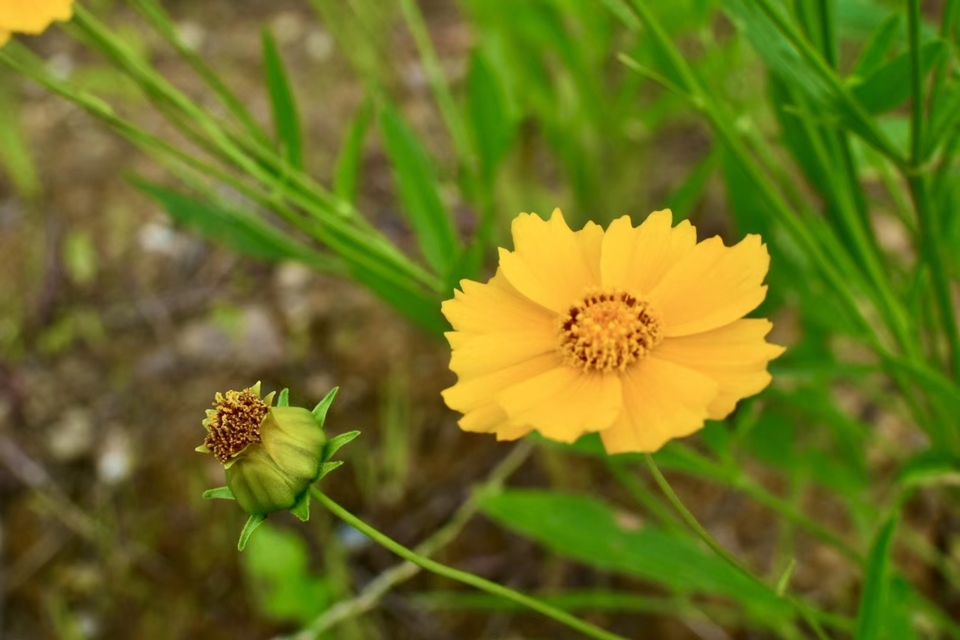 微信图片_20220620205443