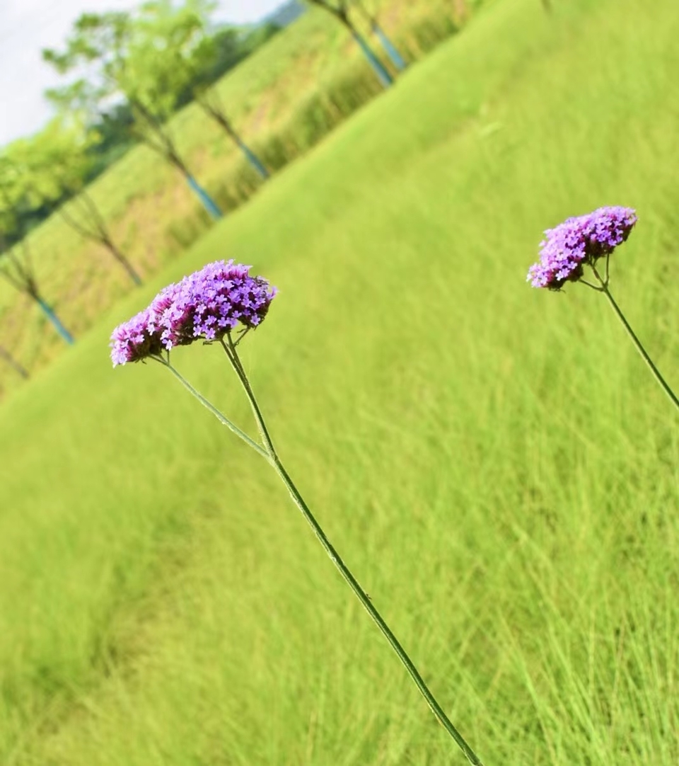 微信图片_20220620205445