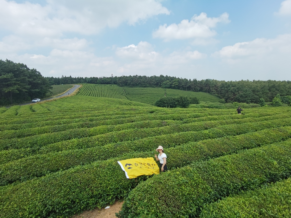 微信图片_20220620205507