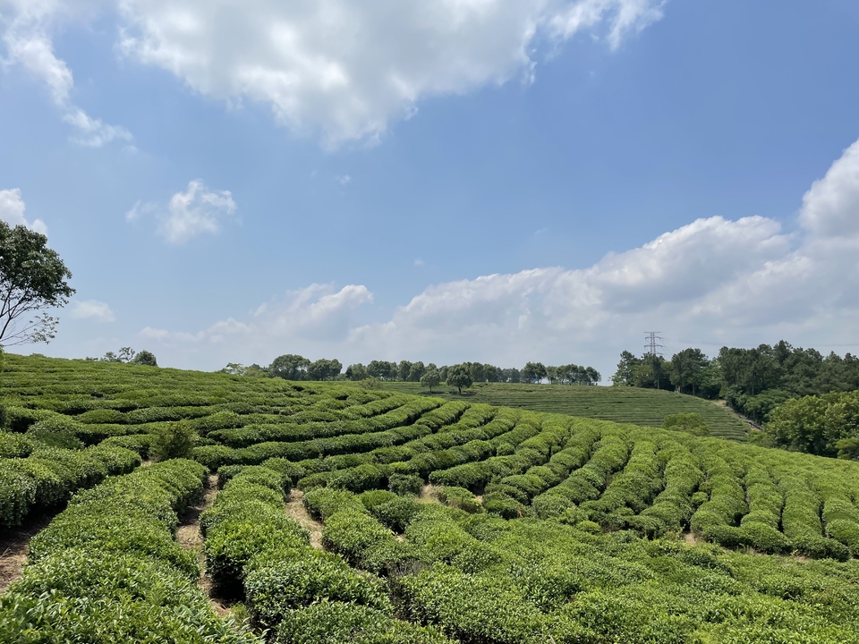 微信图片_20220620205551