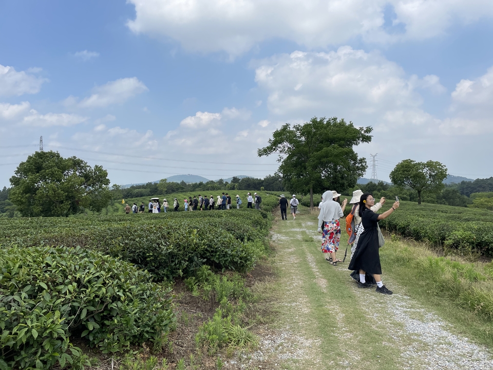 微信图片_20220620205606