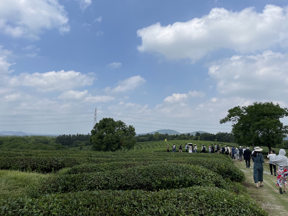 微信图片_20220620205610