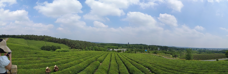 微信图片_20220620205621