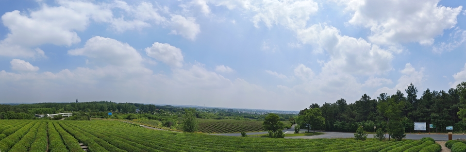 微信图片_20220620205625