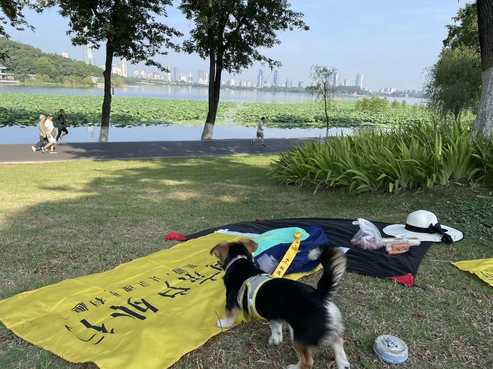 微信图片_20220620211321