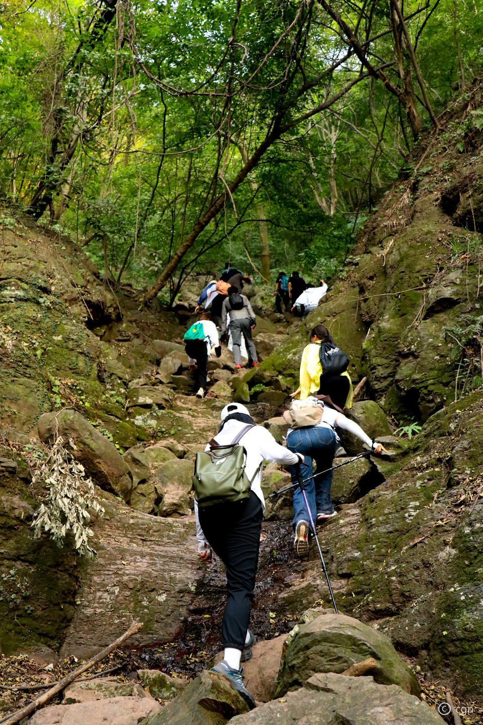 微信图片_20220620211737
