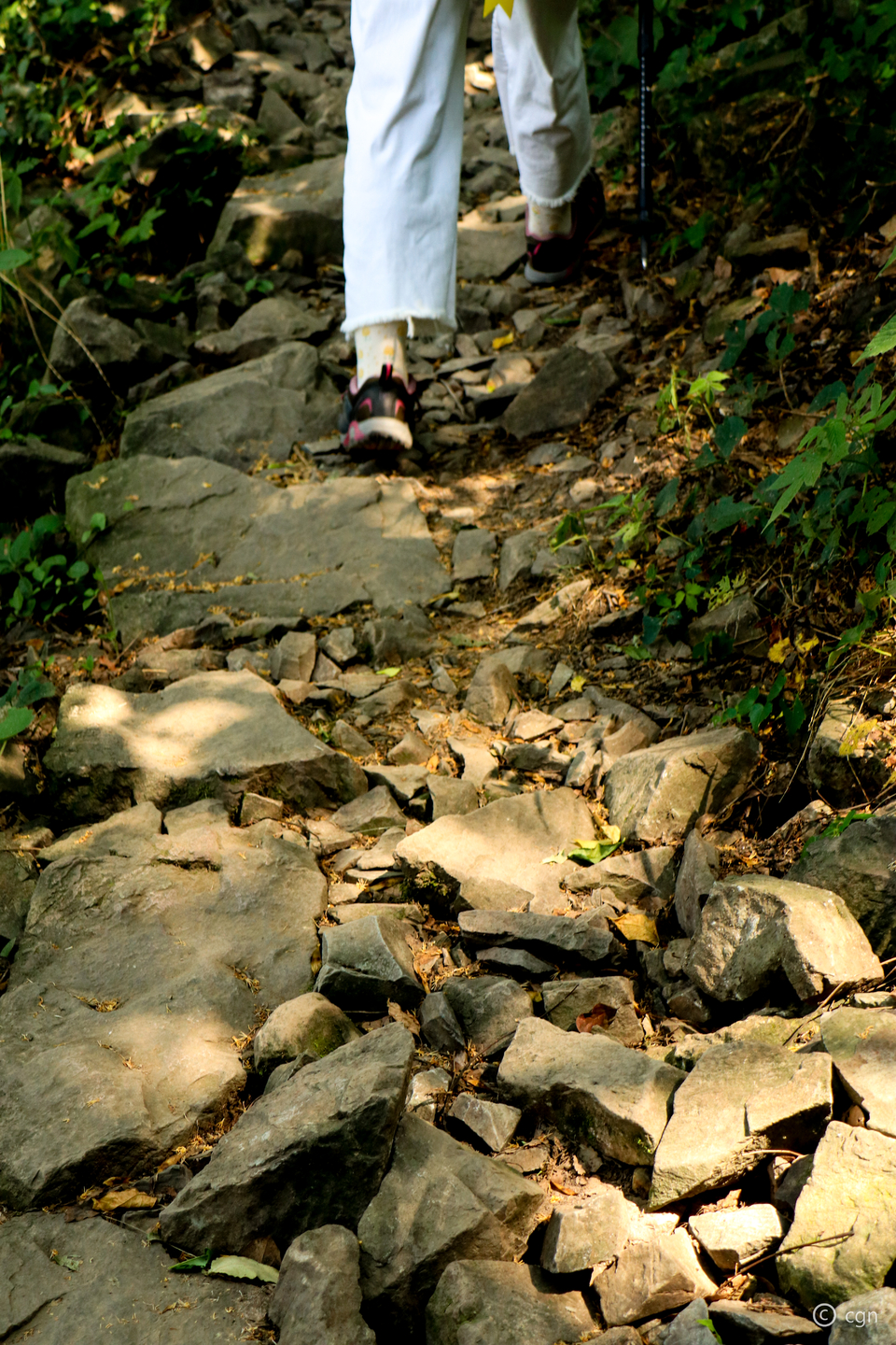 微信图片_20220620211748