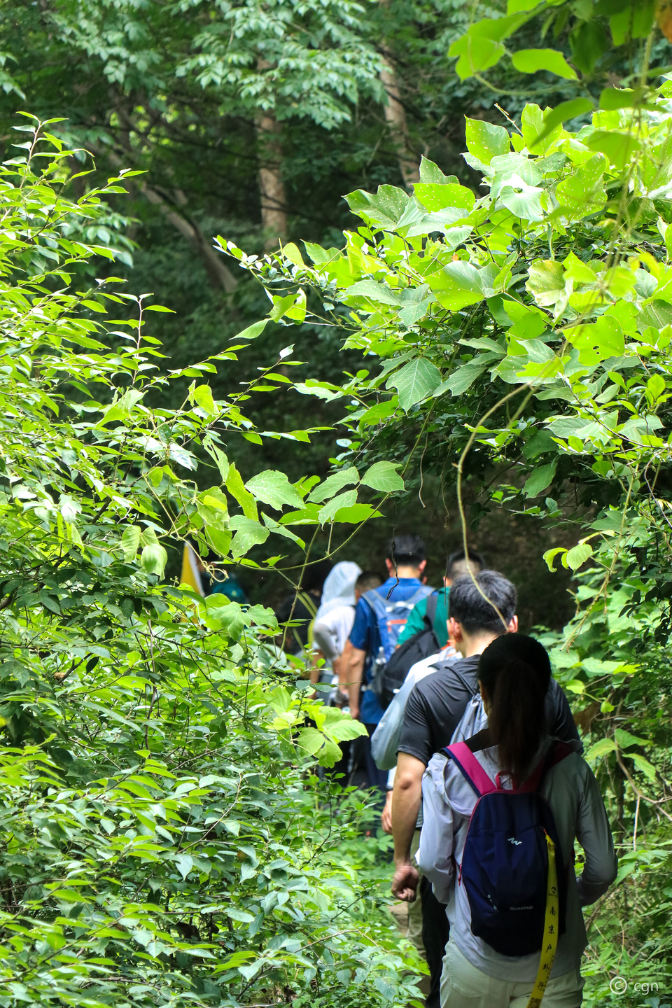 微信图片_20220620211803