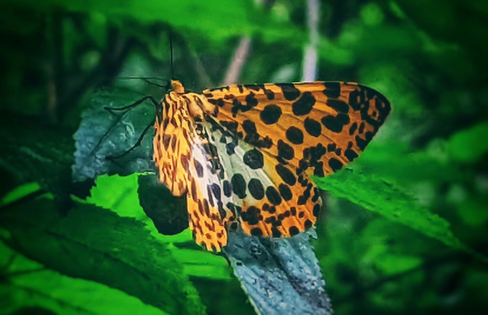 微信图片_20220620211847