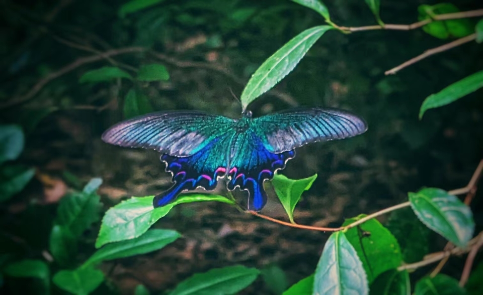 微信图片_20220620211850